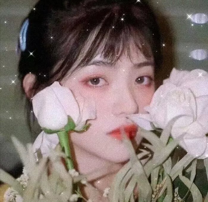 走过被遗忘的小路